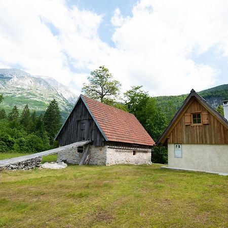 Cottages Kravanja Trenta Buitenkant foto